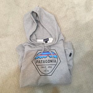 Patagonia Mens Hoodie